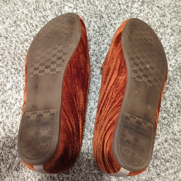 Birdies - The Starling - Picture 3 of 5